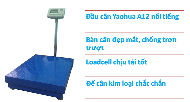 Cân a12-600kg-tổng thể