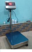 Cân bàn thủy sản chống nước A12E 300 (300kg/20g0