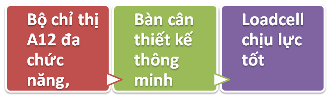 Cân A12-NA3-chức năng