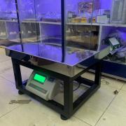 Cân ghế ngồi Đài Loan Yaohua A12 40x50cm (300kg/50g)